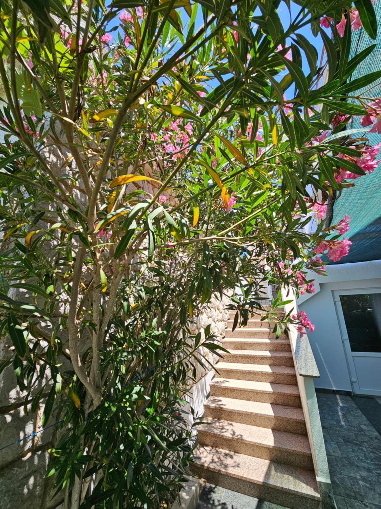 Apartments Bahar Krk คิร์ก ภายนอก รูปภาพ